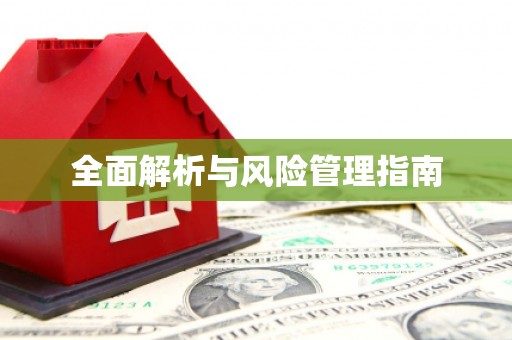 雅安全面解析与风险管理指南
