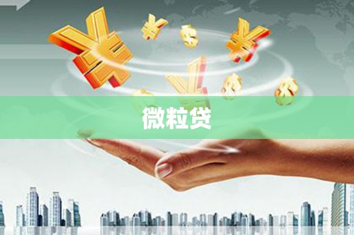 雅安微粒贷