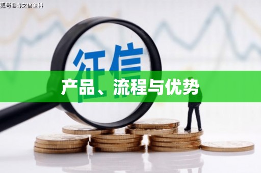 雅安产品、流程与优势