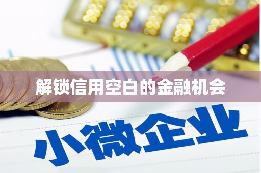 雅安解锁信用空白的金融机会