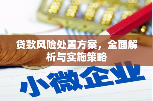 雅安贷款风险处置方案，全面解析与实施策略