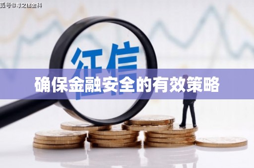 雅安确保金融安全的有效策略