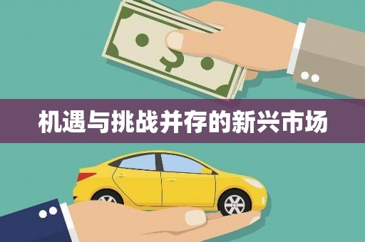 雅安机遇与挑战并存的新兴市场