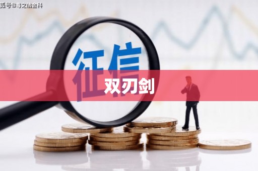 雅安双刃剑