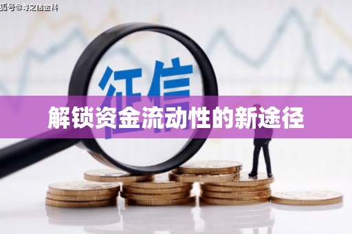 雅安解锁资金流动性的新途径