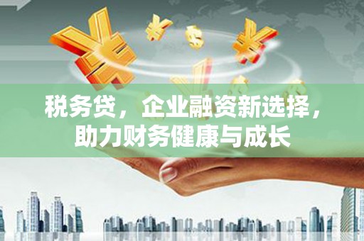 雅安税务贷，企业融资新选择，助力财务健康与成长